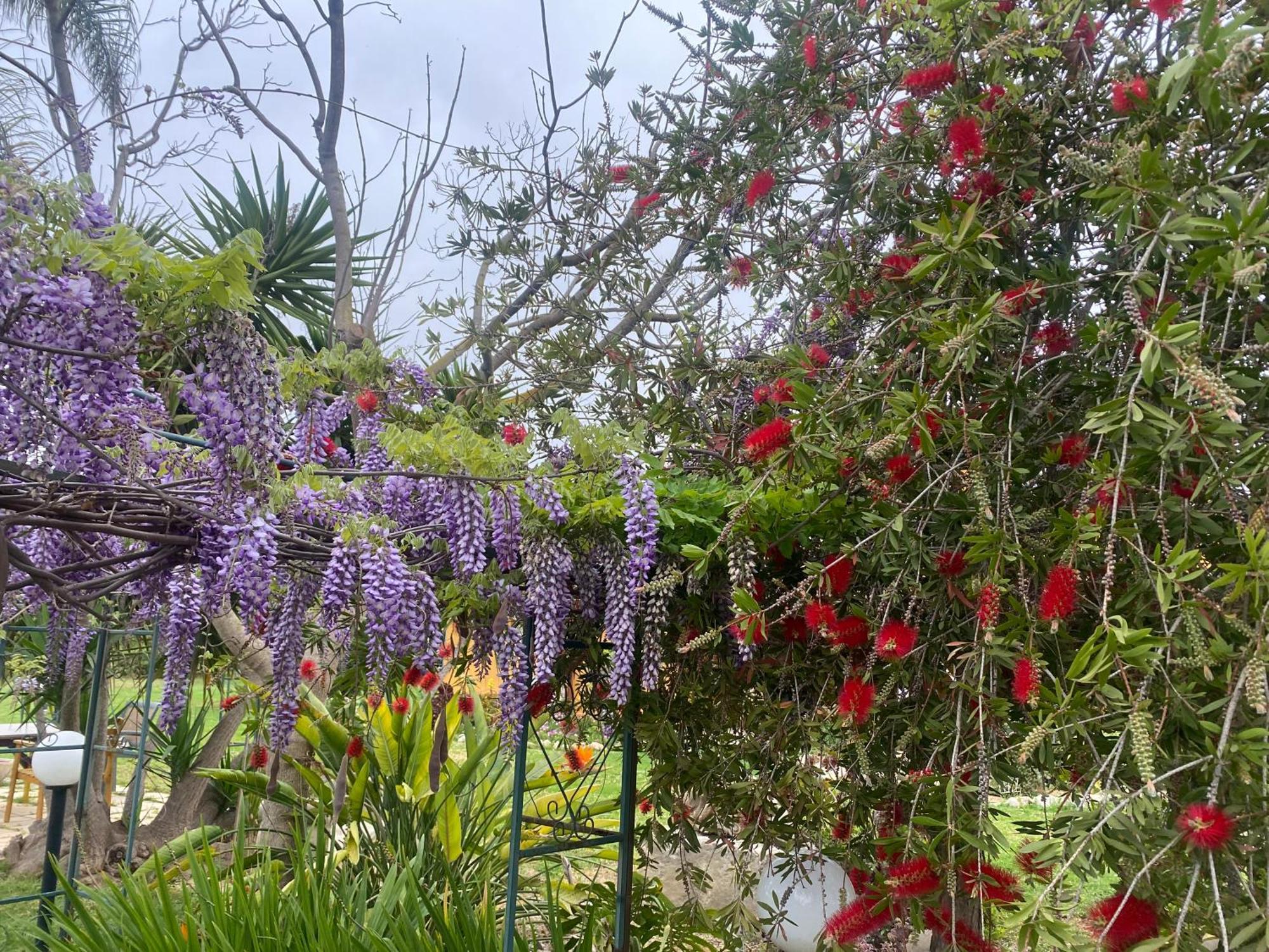 سيراكوزا Agrib&B Lemontree Garde'N المظهر الخارجي الصورة