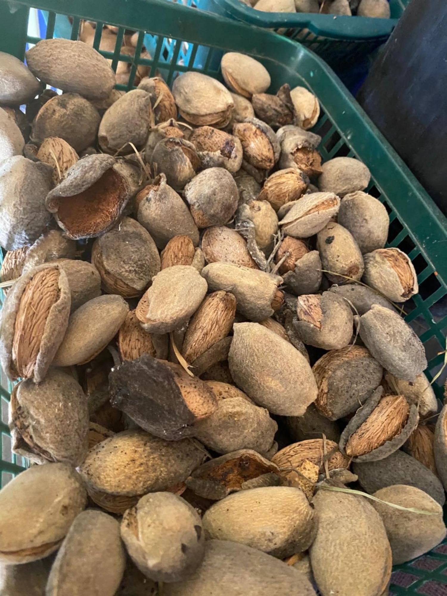 سيراكوزا Agrib&B Lemontree Garde'N المظهر الخارجي الصورة